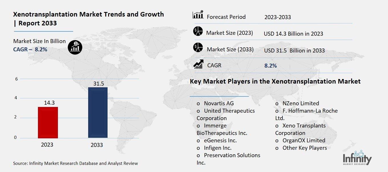 Xenotransplantation Market Overview