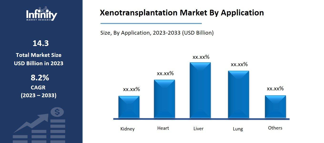 Xenotransplantation Market By Application