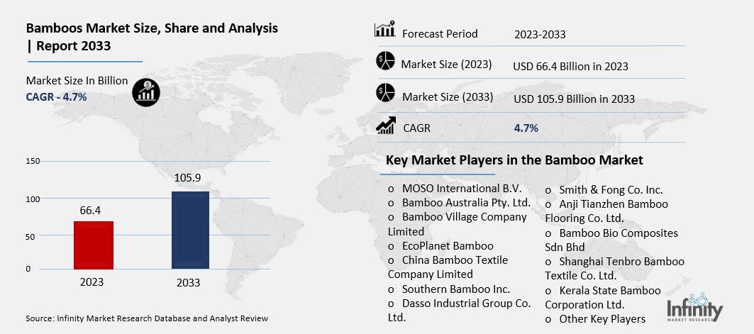 Bamboos Market Overview