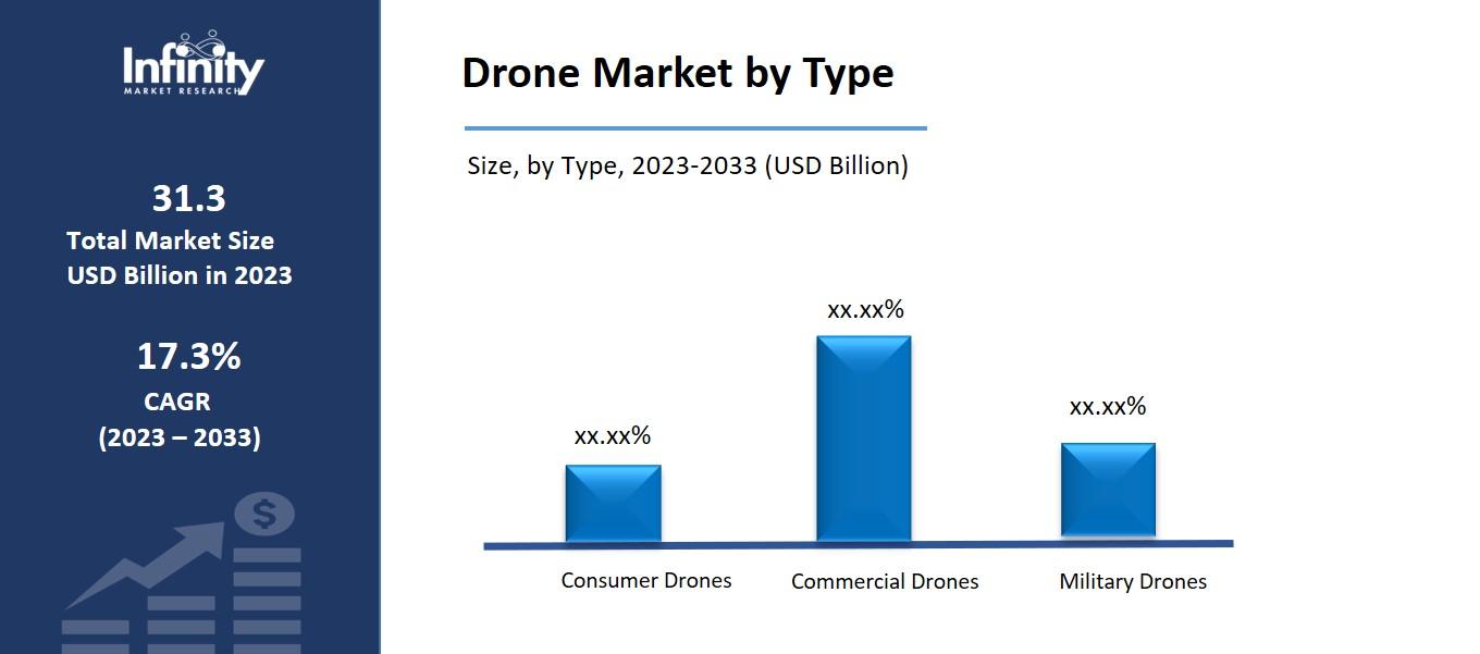 Drone Market by Type