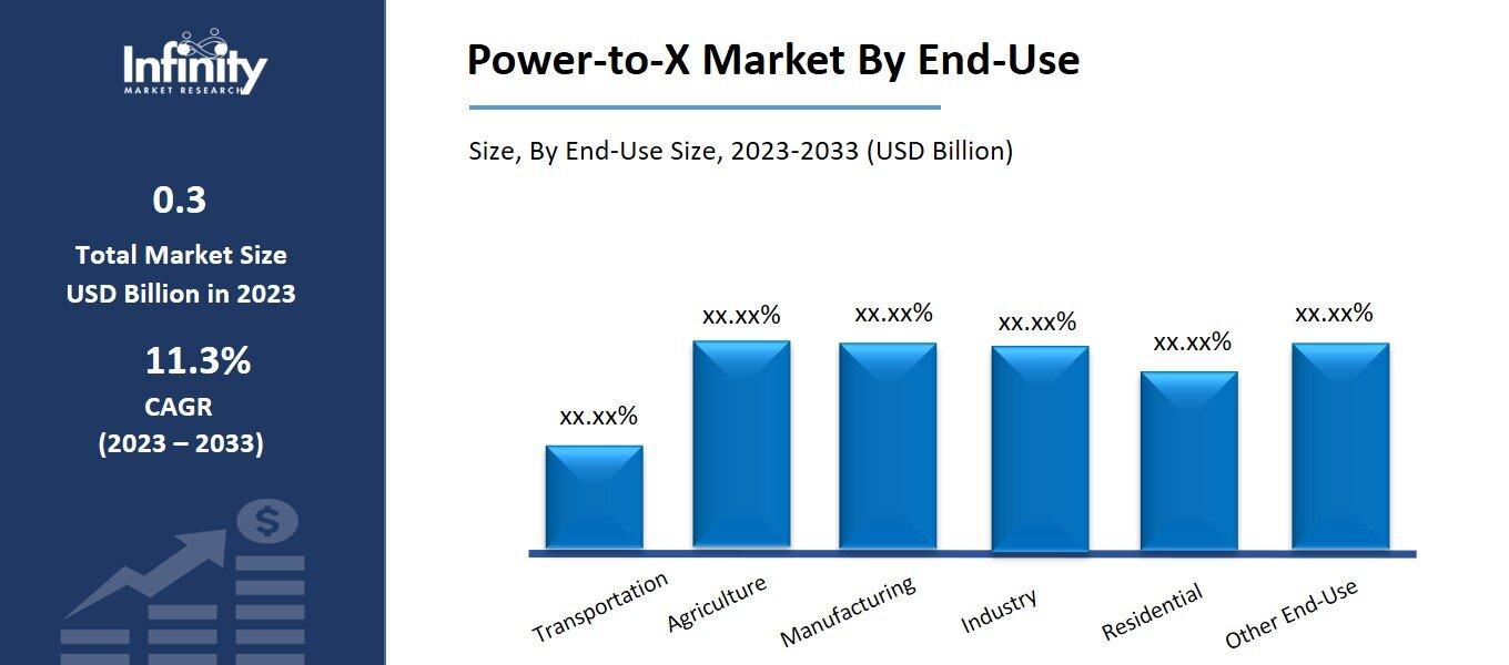 Power-to-X Market By End-Use