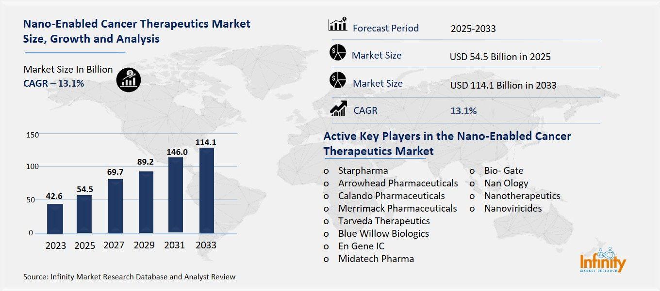 Nano-Enabled Cancer Therapeutics Market OVerview