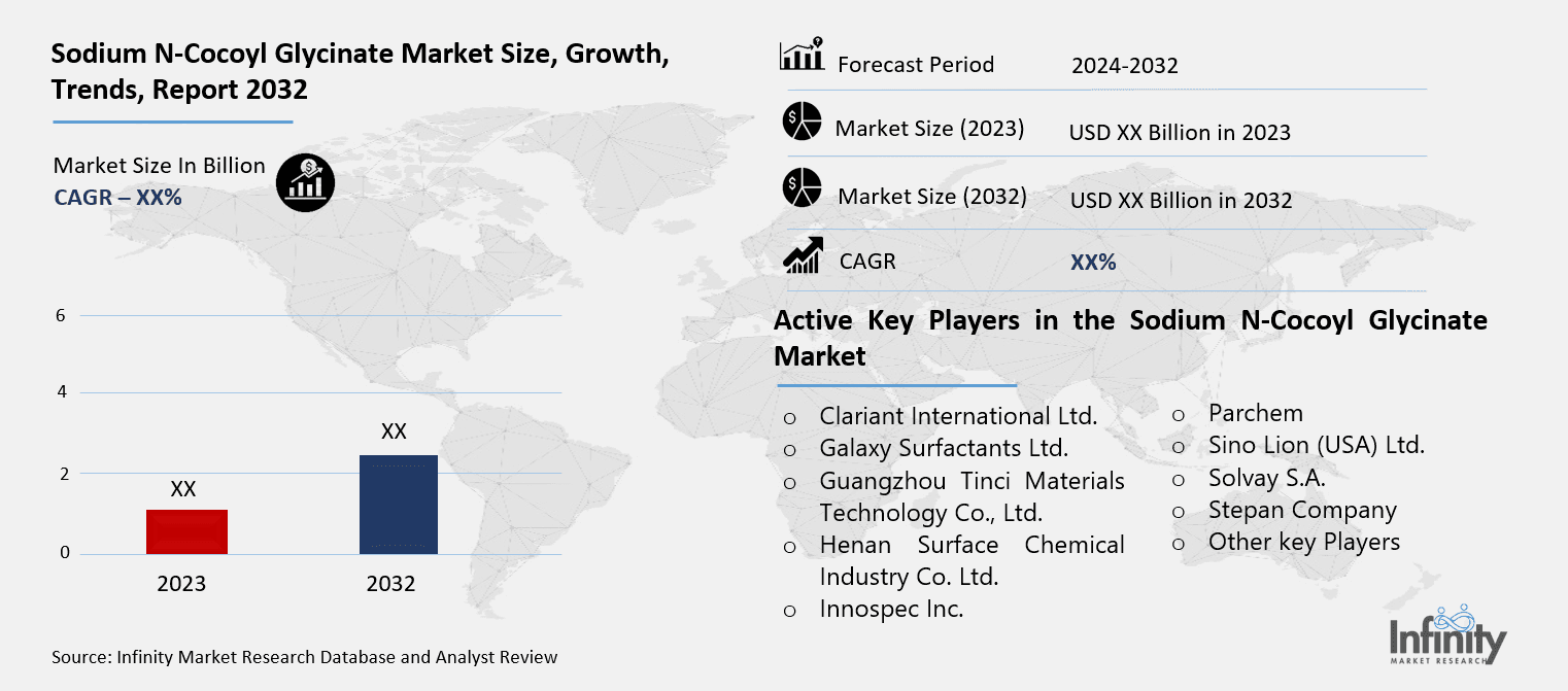 Sodium N-Cocoyl Glycinate Market Overview
