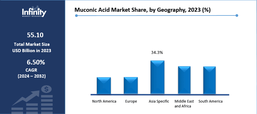 Muconic Acid Market Share, by Geography, 2023 (%)