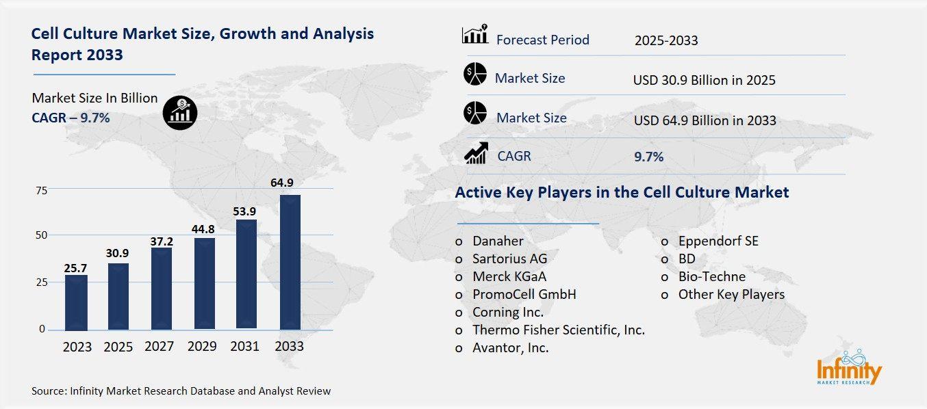 Cell Culture Market Overview