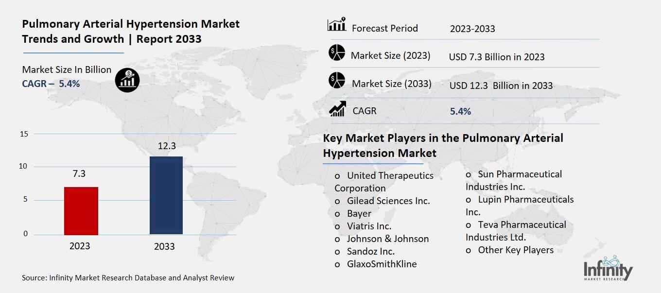 Pulmonary Arterial Hypertension Market Overview
