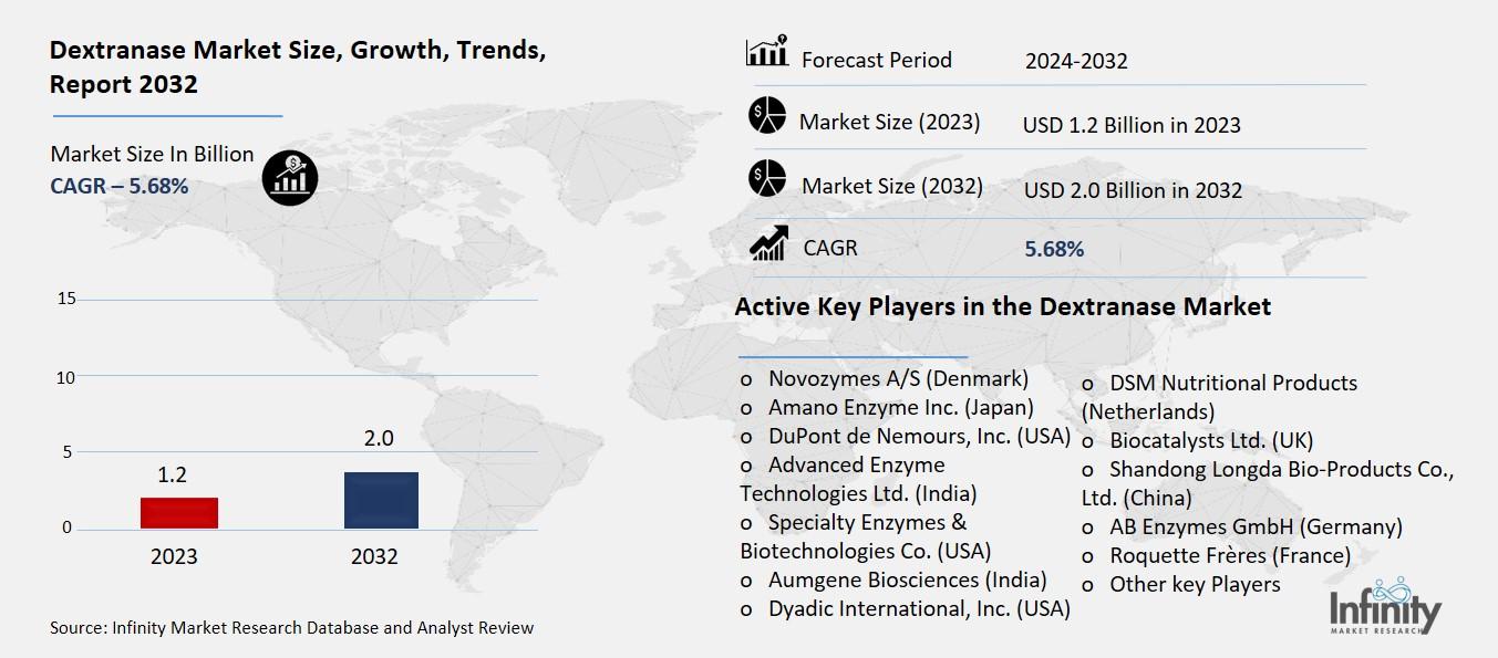 Dextranase Market Overview