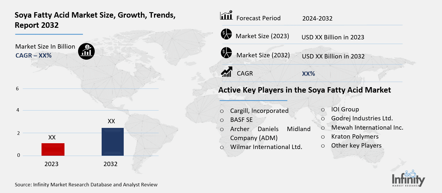 Soya Fatty Acid Market Overview