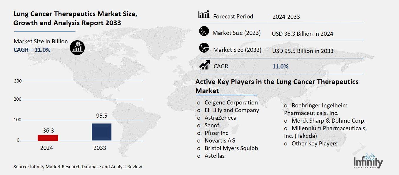 Lung Cancer Therapeutics Market Overview