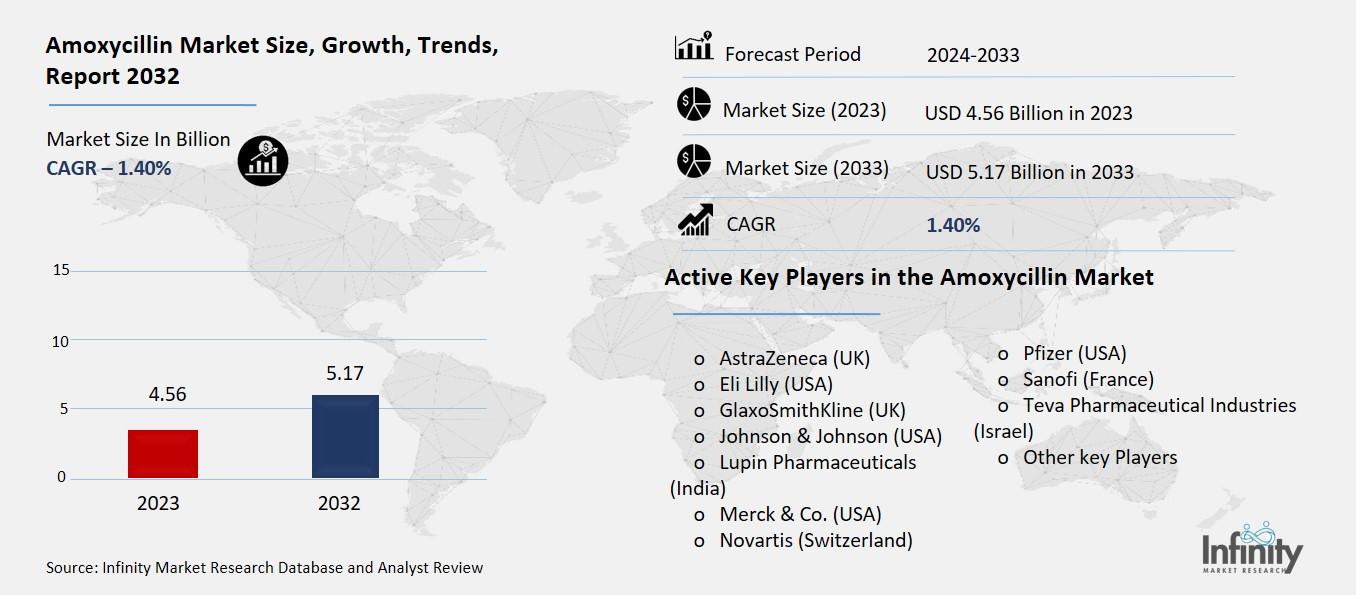 Amoxycillin Market Overview