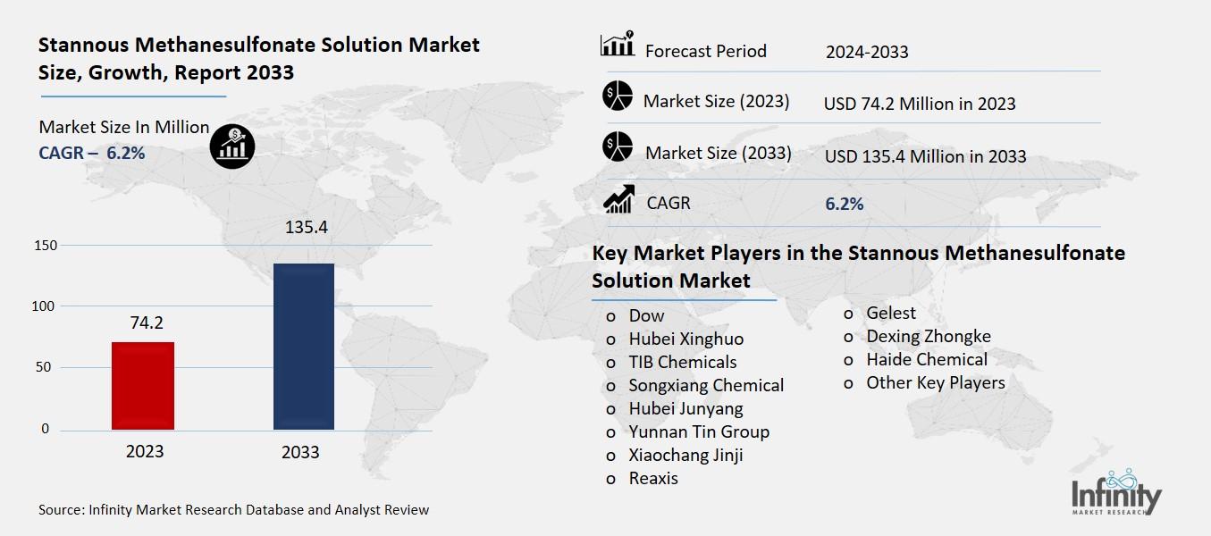 Stannous Methanesulfonate Solution Market Overview