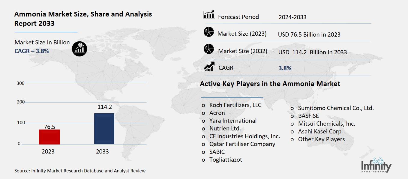 Ammonia Market By Application