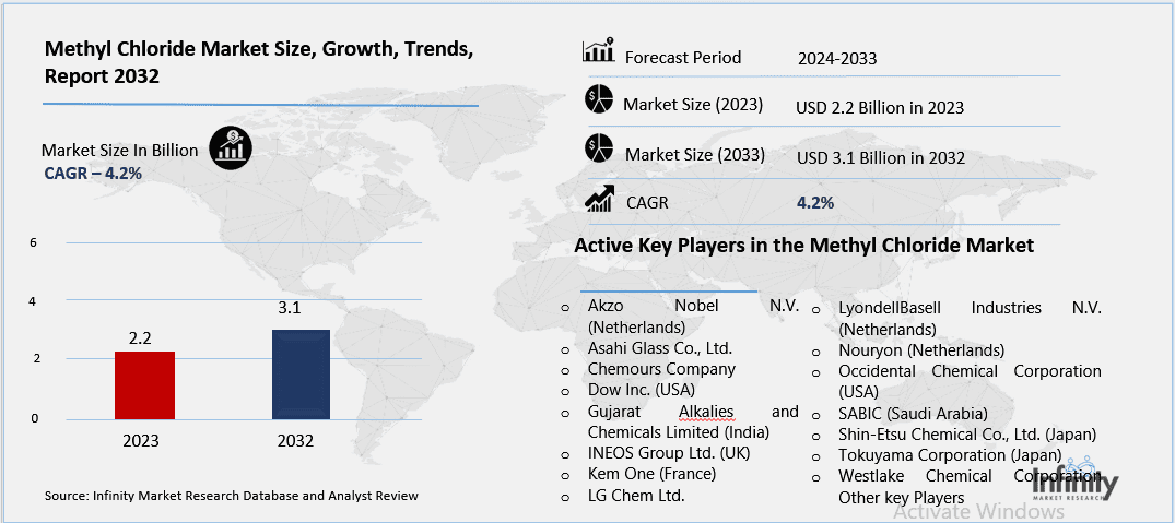 Methyl Chloride Market Overview