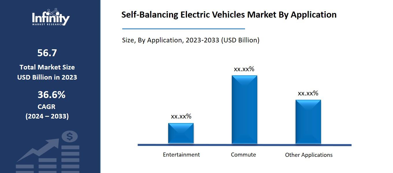 Self-Balancing Electric Vehicles Market By Application