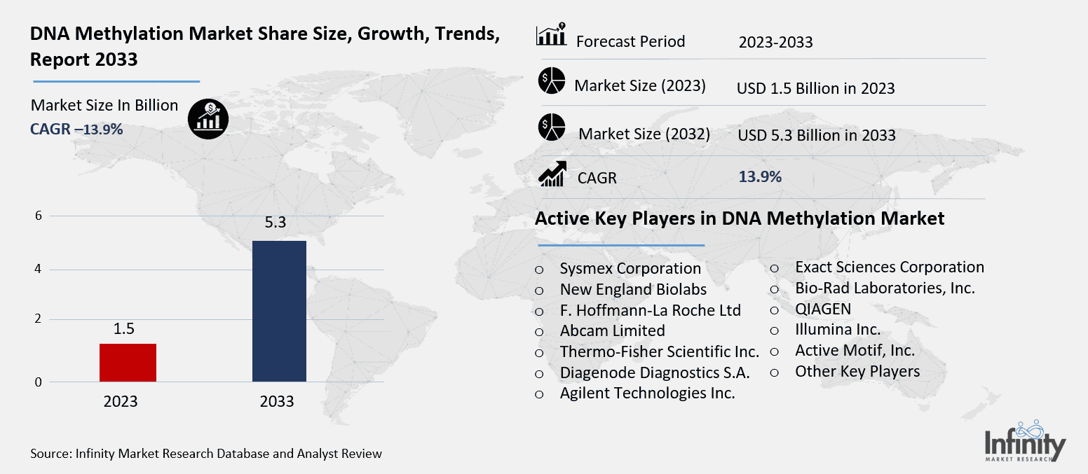 DNA Methylation Market Overview