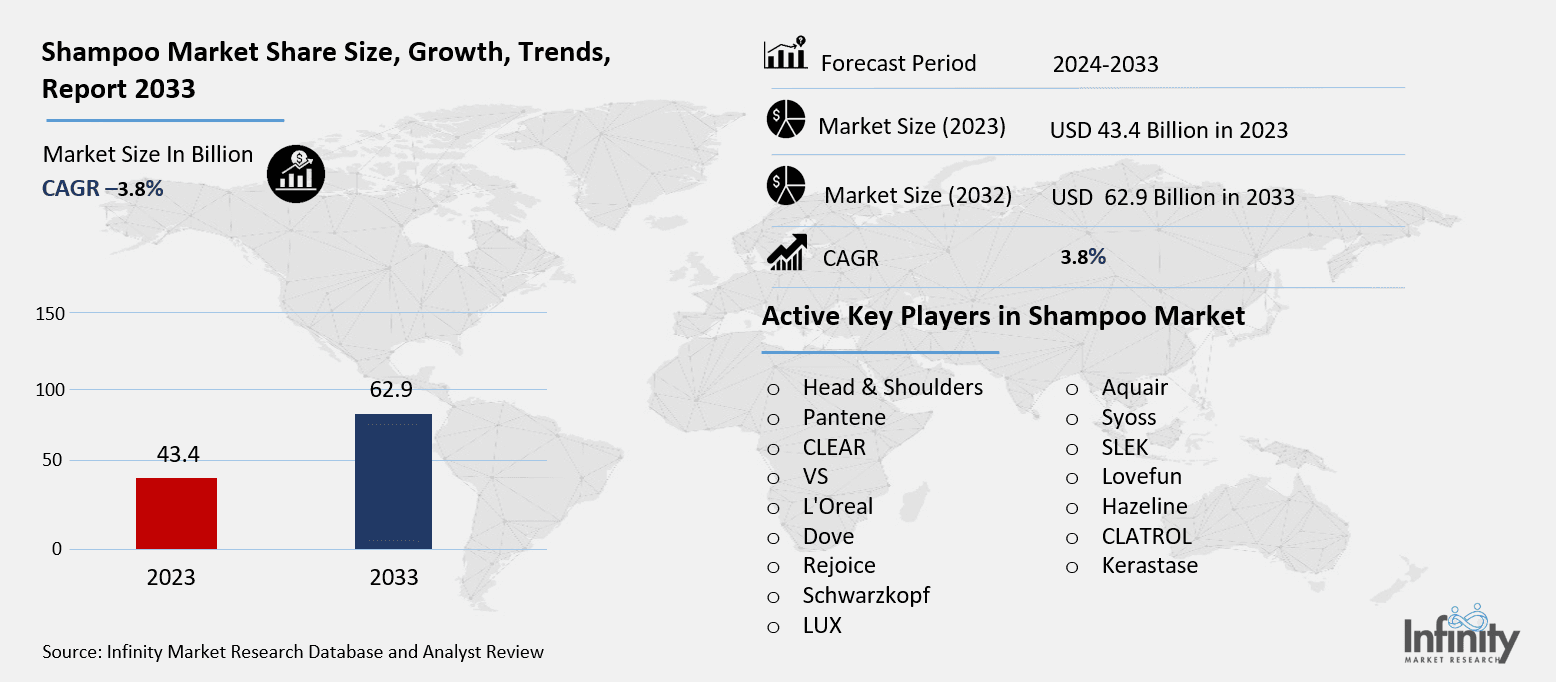 Shampoo Market Overview