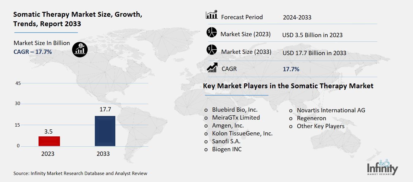 Somatic Therapy Market Overview