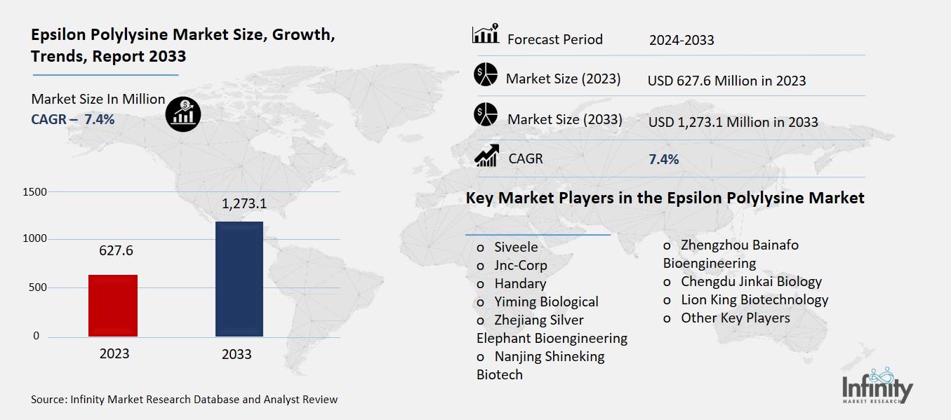Epsilon Polylysine Market Overview