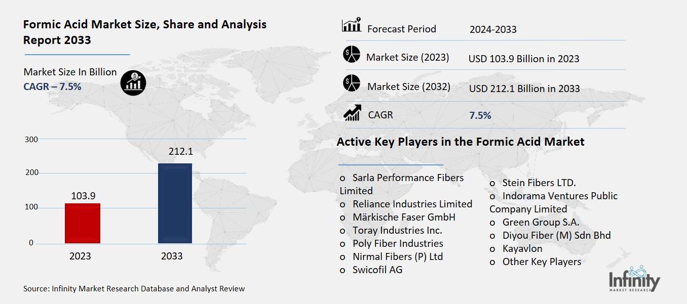 Formic Acid Market Overview
