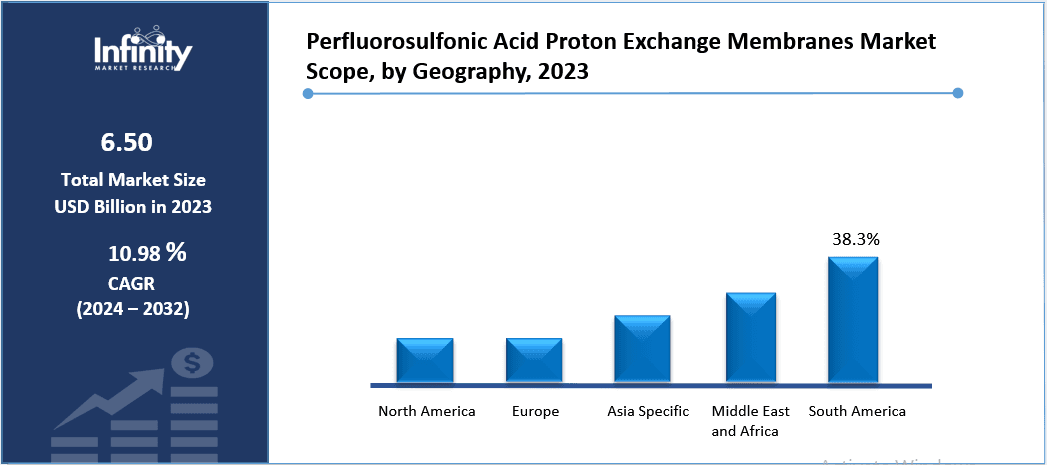 Perfluorosulfonic Acid Proton Exchange Membranes Market Share, by Geography, 2023 (%)