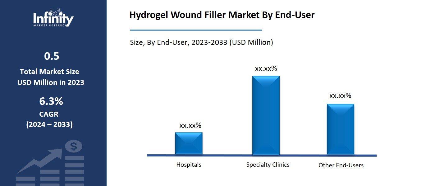 Hydrogel Wound Filler Market By End-User