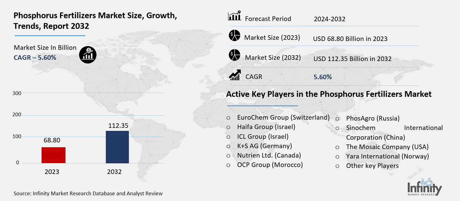 Phosphorus Fertilizers Market Overview
