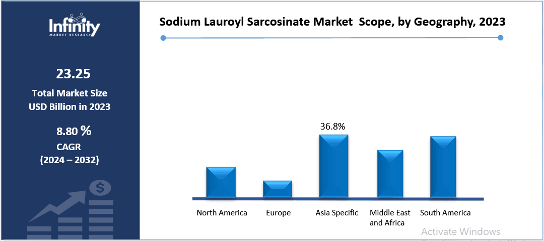 Sodium Lauroyl Sarcosinate Market Scope, by Geography, 2023