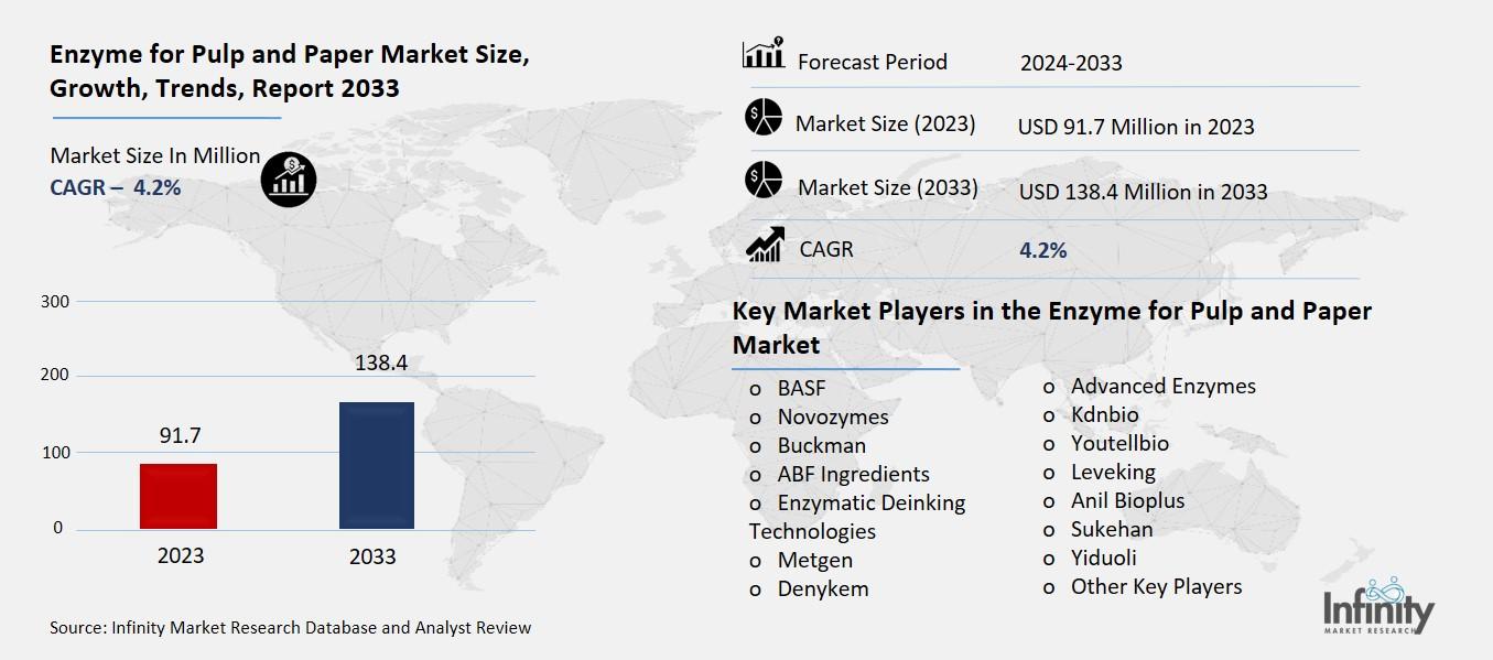 Enzyme for Pulp and Paper Market Overview