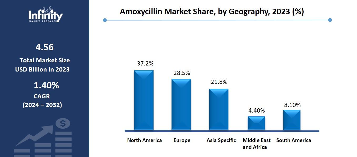 Amoxycillin Market Share, by Geography, 2023 (%)