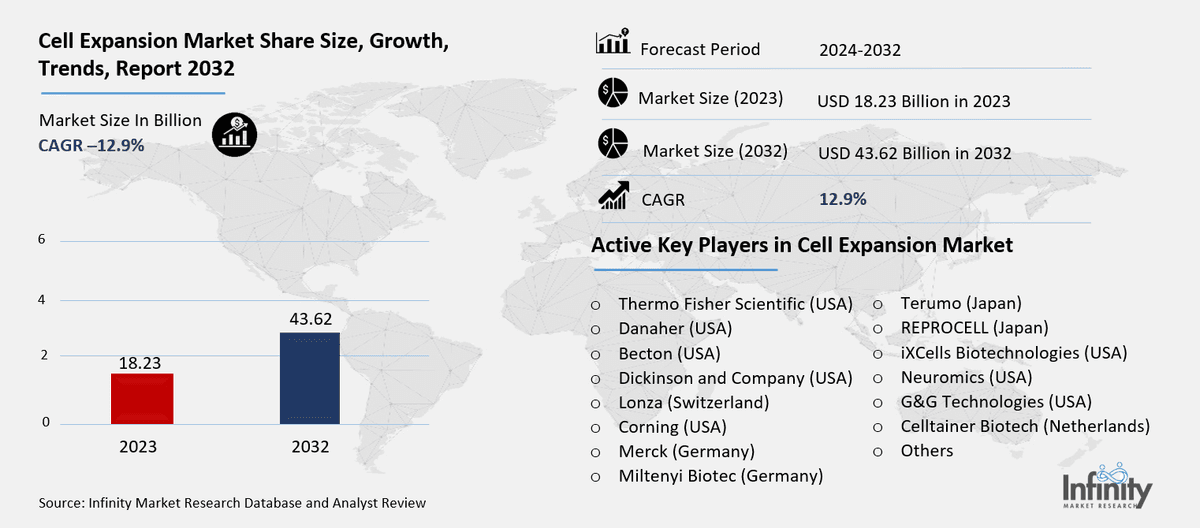 Cell Expansion Market Overview