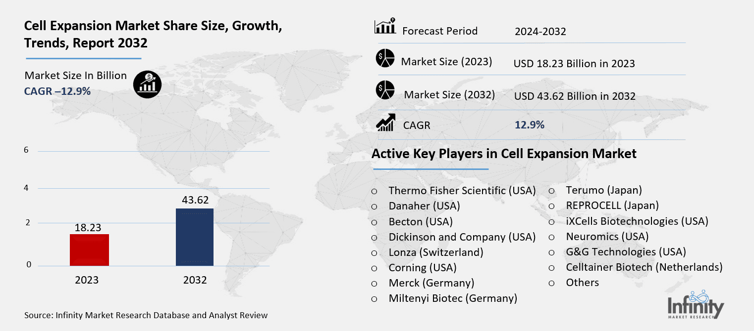 Cell Expansion Market Overview