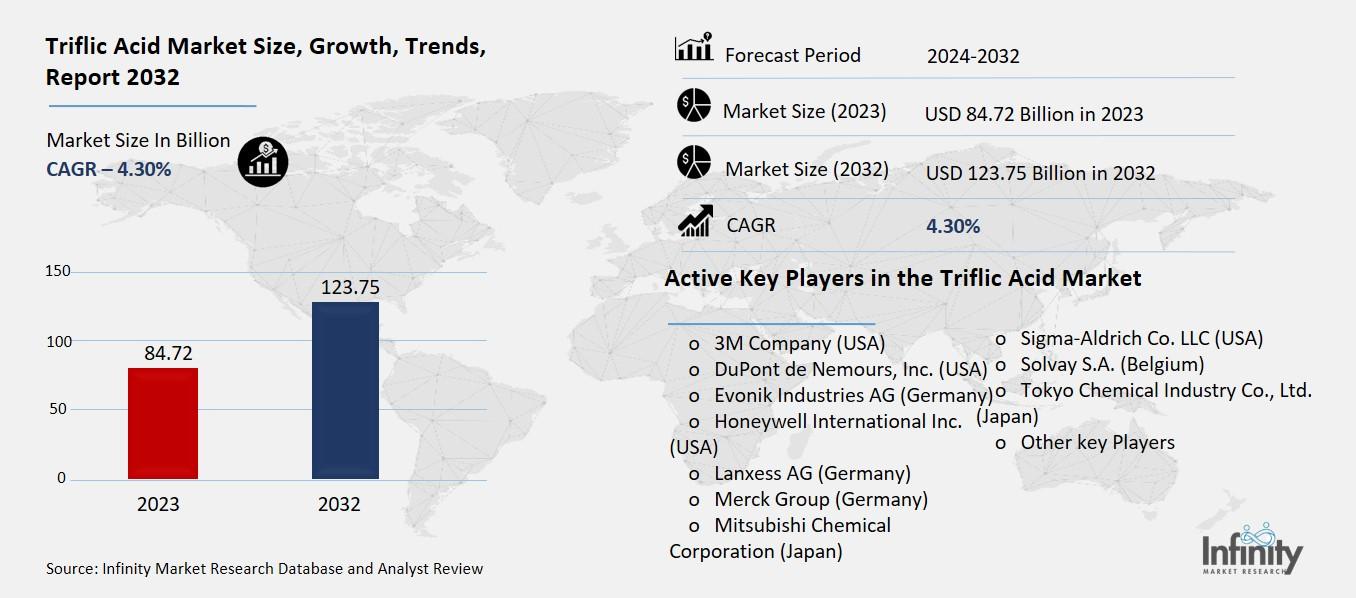 Triflic Acid Market Overview