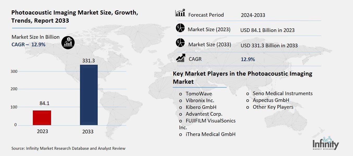Photoacoustic Imaging Market Overview