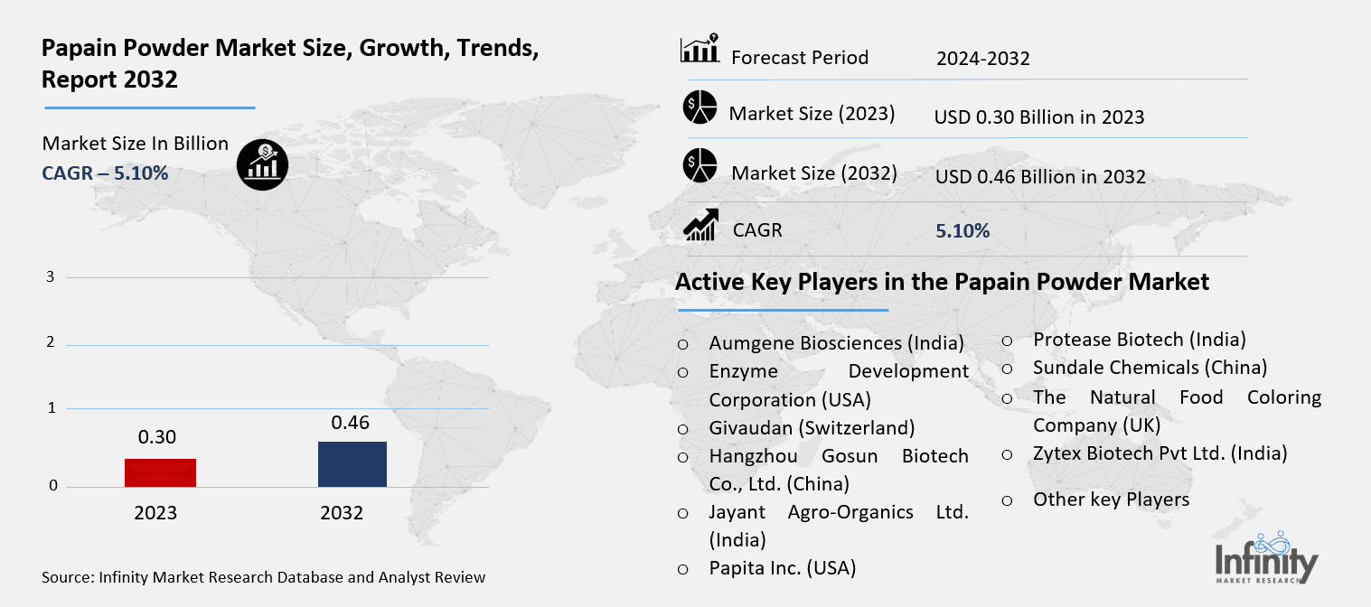 Papain Powder Market Overview