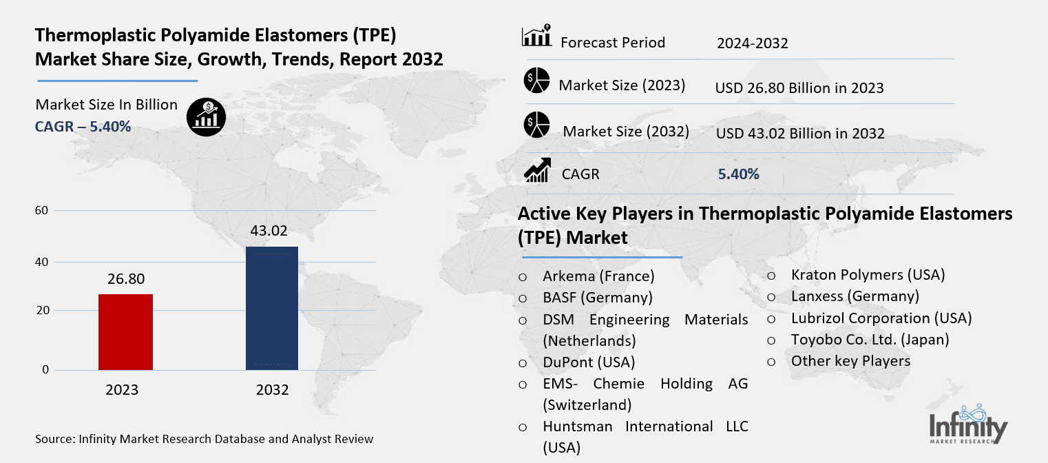 Thermoplastic Polyamide Elastomers (TPE) Market Overview