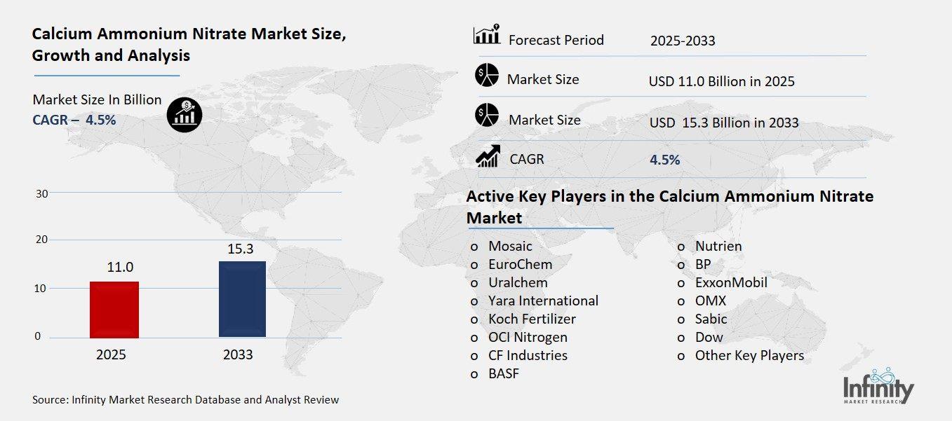 Calcium Ammonium Nitrate Market Overview