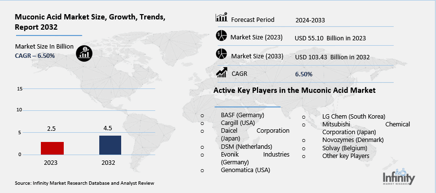Muconic Acid Market Overview
