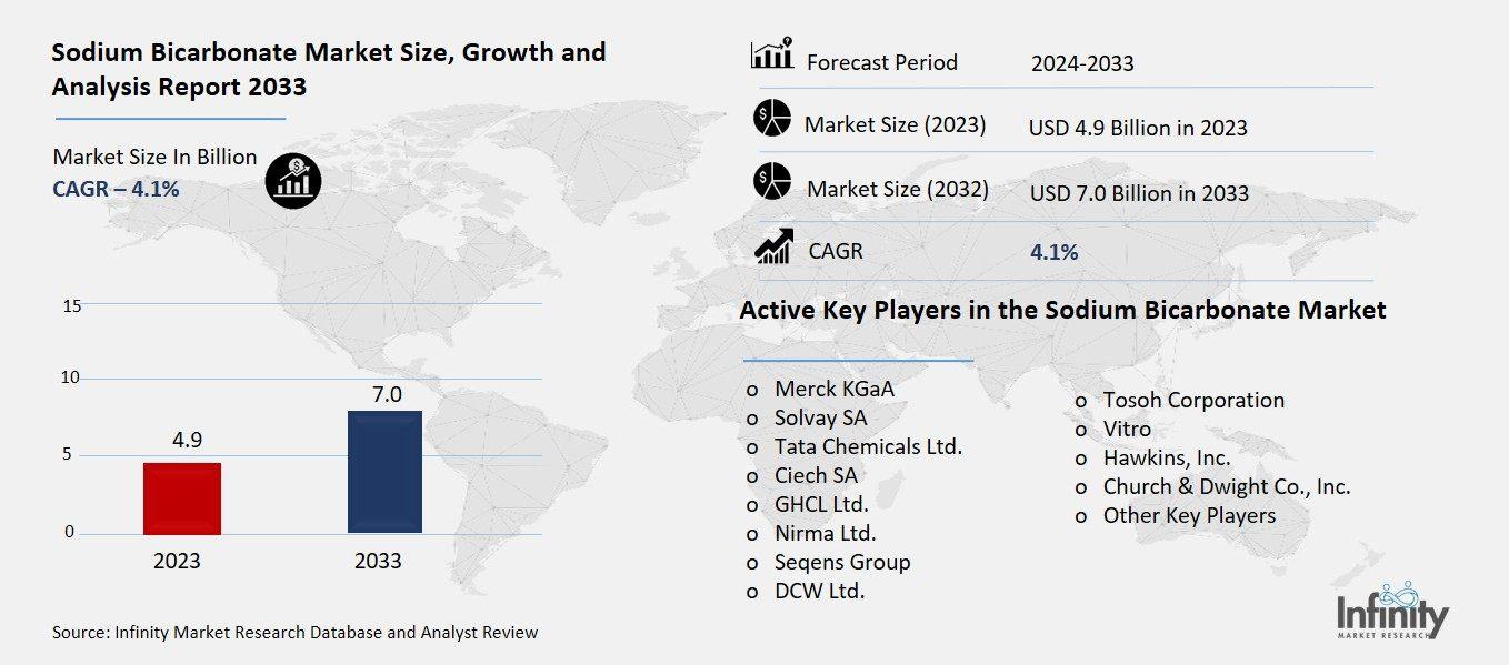 Sodium Bicarbonate Market Overview