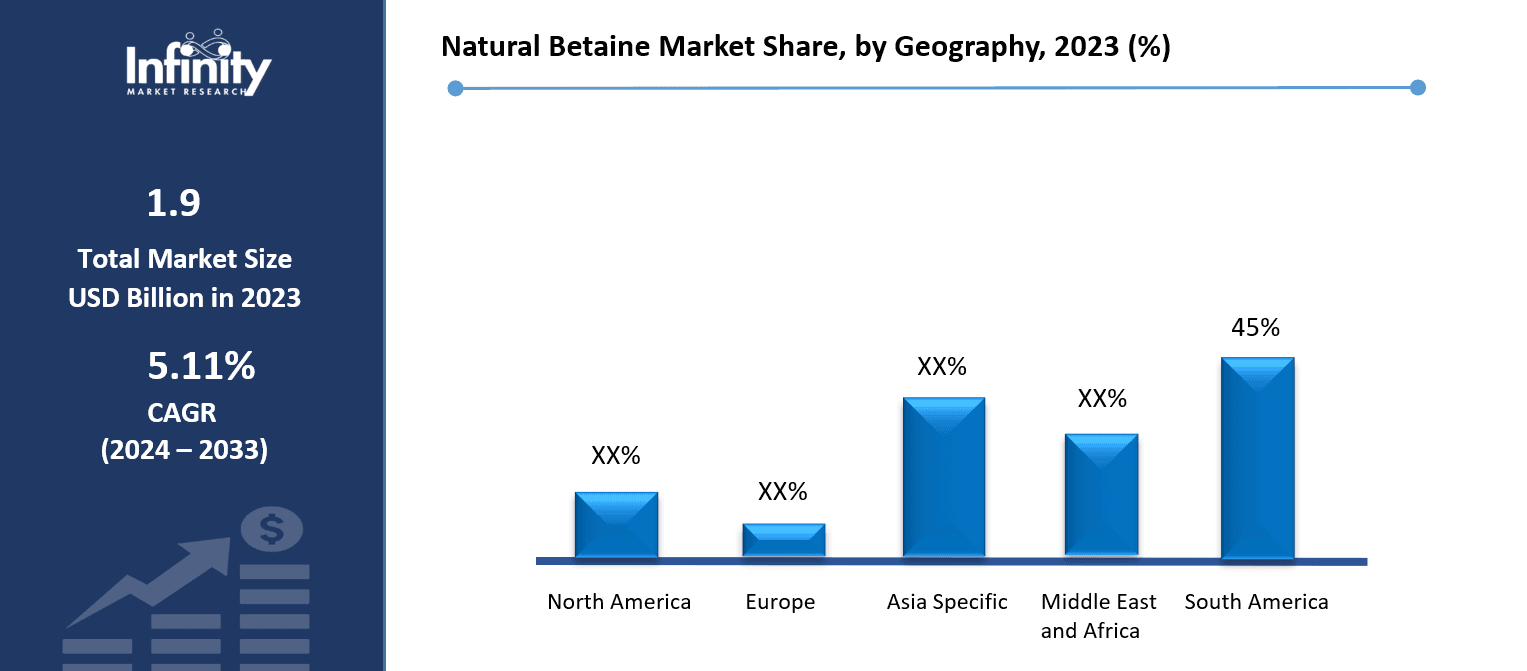 Natural Betaine Market Share, by Geography, 2023 (%)
