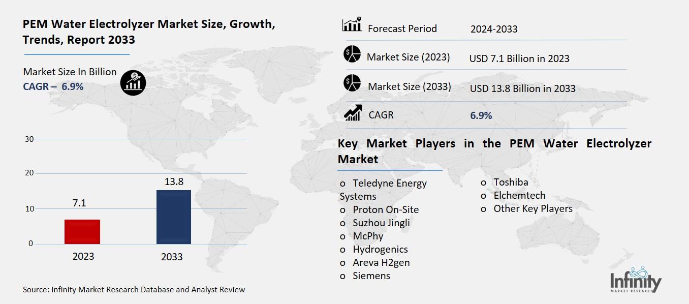 PEM Water Electrolyzer Market Overview