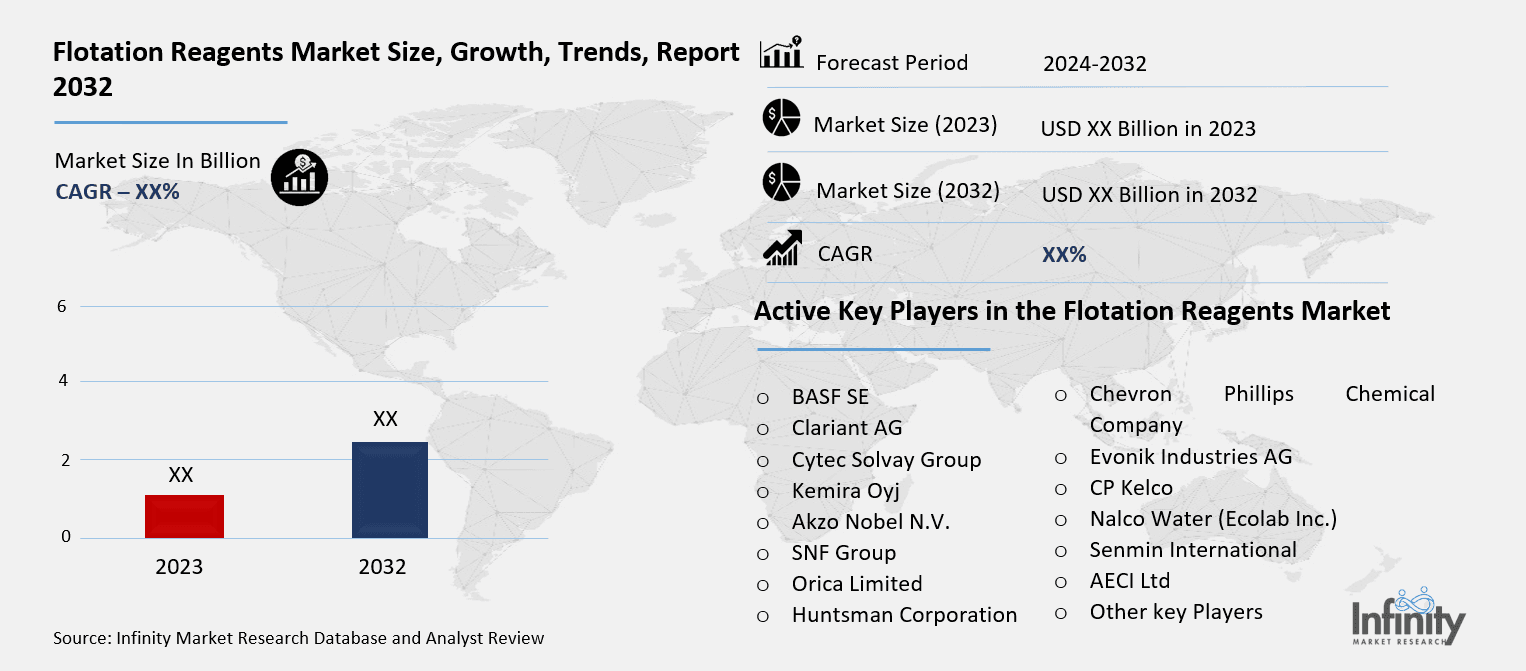 Flotation Reagents Market Overview