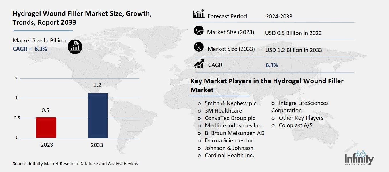 Hydrogel Wound Filler Market Overview