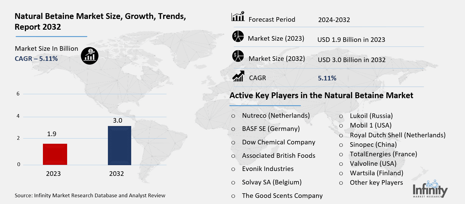 Natural Betaine Market Overview
