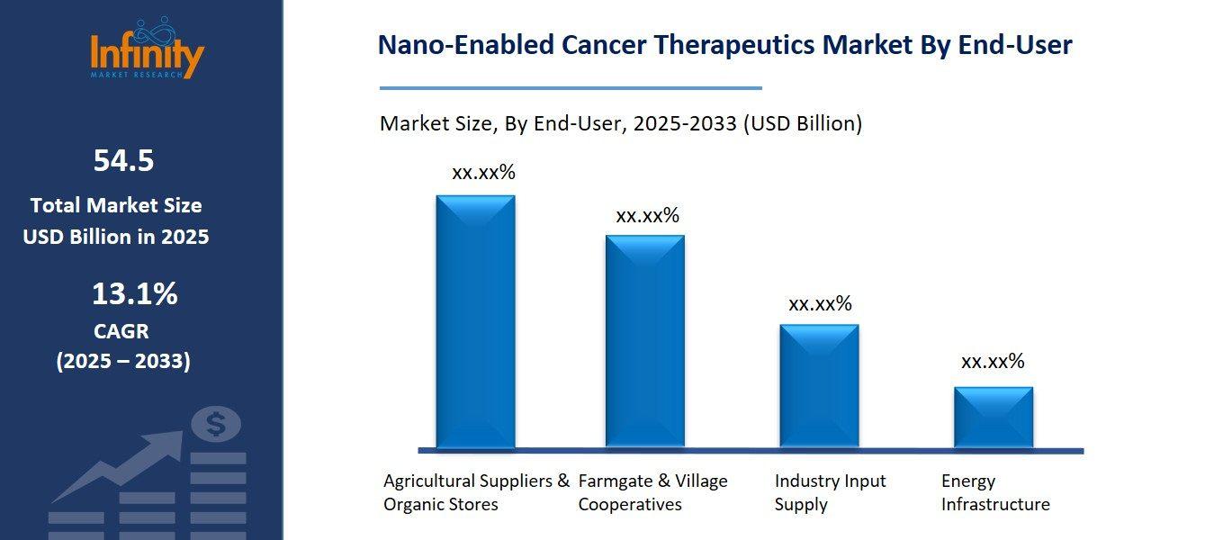 Nano-Enabled Cancer Therapeutics Market By End User