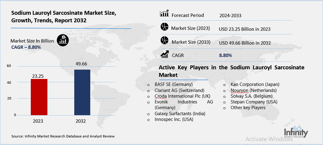 Sodium Lauroyl Sarcosinate Market Overview