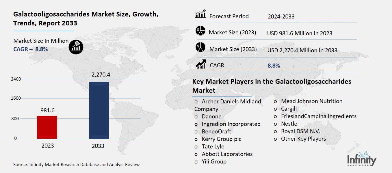 Galactooligosaccharides Market Overview