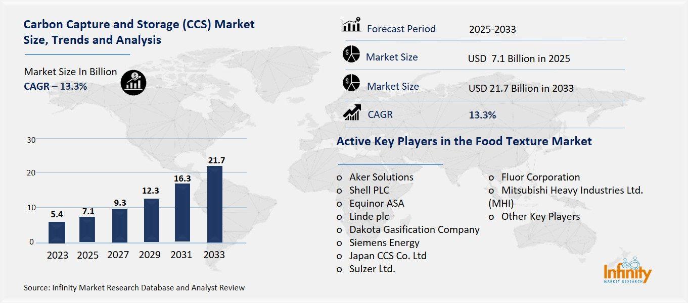 Carbon Capture and Storage (CCS) Market Overview