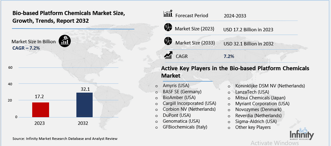 Bio-based Platform Chemicals Market Overview