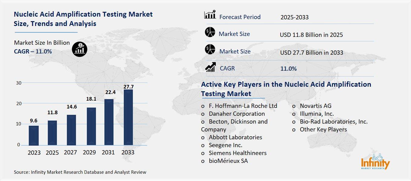 Nucleic Acid Amplification Testing Market Overview
